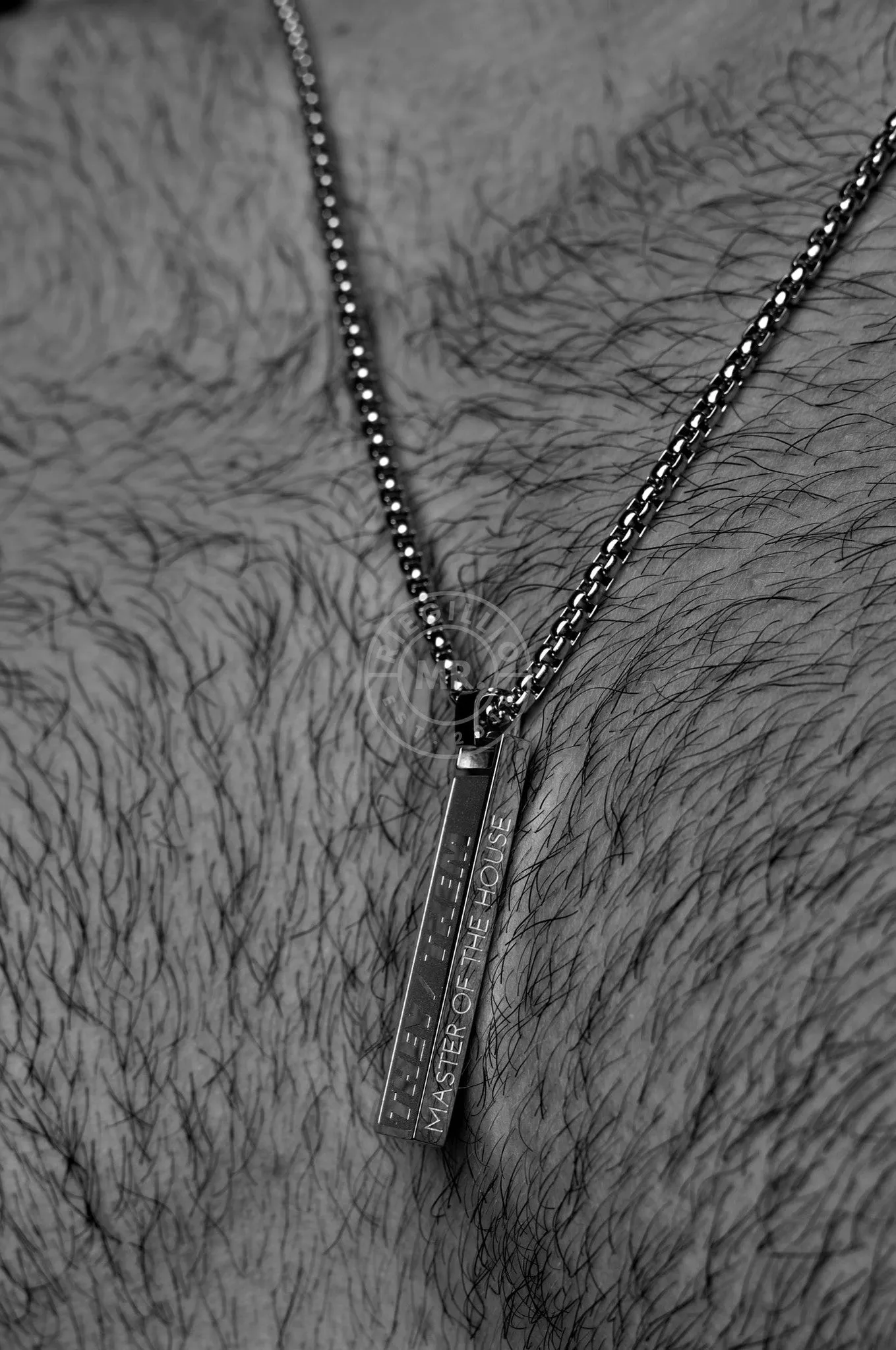 Master of the House Pendant Bar - THEY/THEM